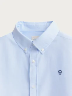 CAMISA OXFORD BASIC CELESTE