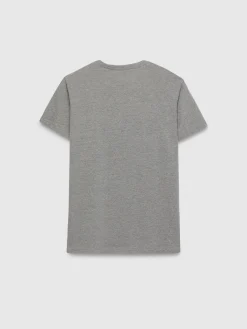 CAMISETA BASICA GRIS