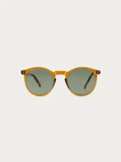 GAFAS ROUNDER CAMEL